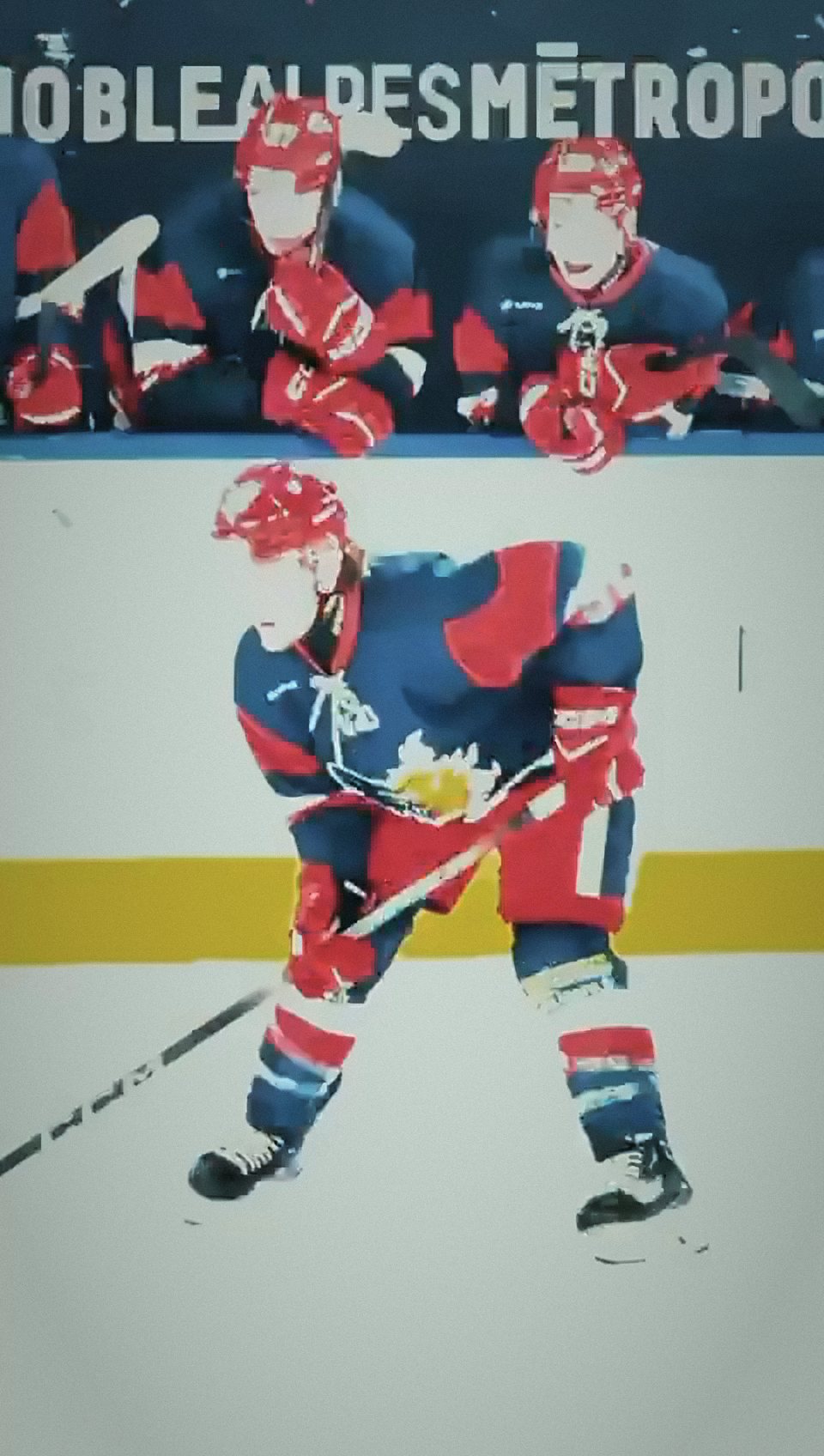 Joueur de hockey sur la glace